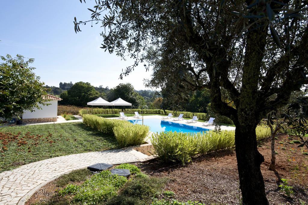 Quinta Do Sobral Guest House Figueiro Dos Vinhos Exterior photo